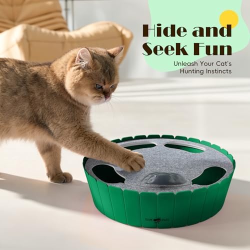 Interactive Cat Track Toy with Running Mouse