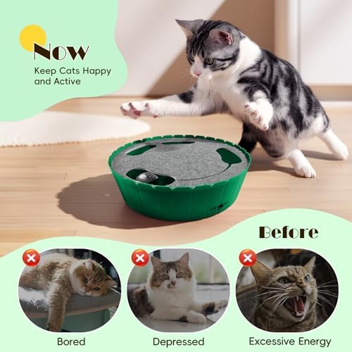 Interactive Cat Track Toy with Running Mouse