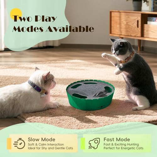 Interactive Cat Track Toy with Running Mouse