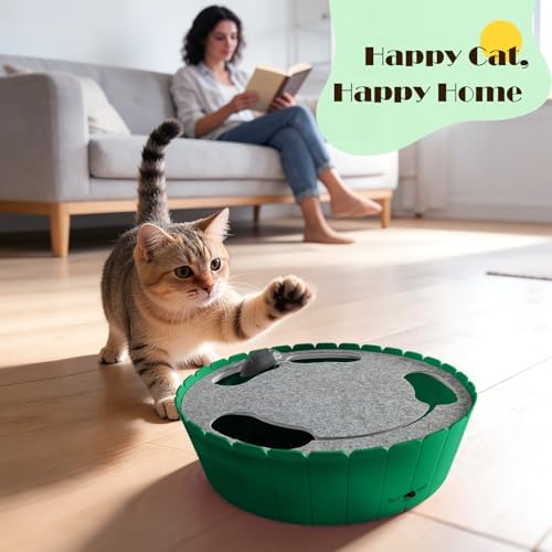 Interactive Cat Track Toy with Running Mouse