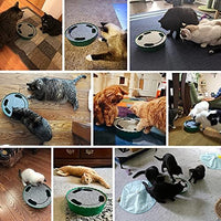 Interactive Cat Track Toy with Running Mouse