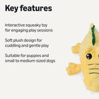 Monkey and Alligator Interactive Dog Squeak Plush Toys, 2 Pack, Ideal for Puppies, Small and Medium Dogs