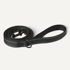 Dog Leash, 6ft with 2 Comfortable Dual Padded Handles for Traffic Control, Highly Reflective Leashes for Large & Medium Dogs, Night Safety, Easy Snap Hook, Black