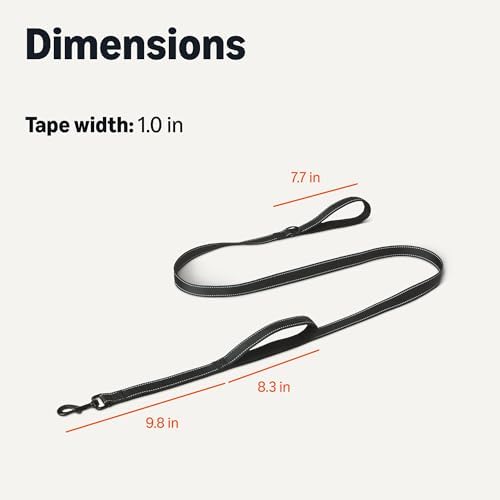 Dog Leash, 6ft with 2 Comfortable Dual Padded Handles for Traffic Control, Highly Reflective Leashes for Large & Medium Dogs, Night Safety, Easy Snap Hook, Black