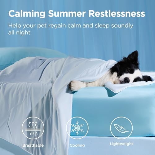 Cooling Blanket for Small Dogs with Breathable Air-Core Fill Q-MAX>0.4 - Dog Cooling Mat Soft, Lightweight Pet Cat Throw Cold Blanket Washable for Summer, Arctic Blue, 25x35