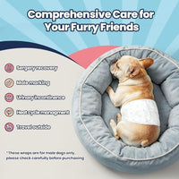 Disposable Male Dog Diapers – Breathable Belly Bands (Medium)