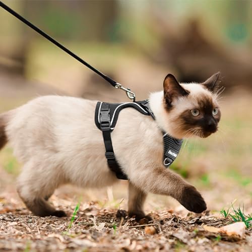 Cat Harness, Cat Harness and Leash for Walking, Adjusted in Four Directions and Breathable Cat Harness for Anti Escape That can be Fitted and Positioned, Reflective Strips Harness, Black