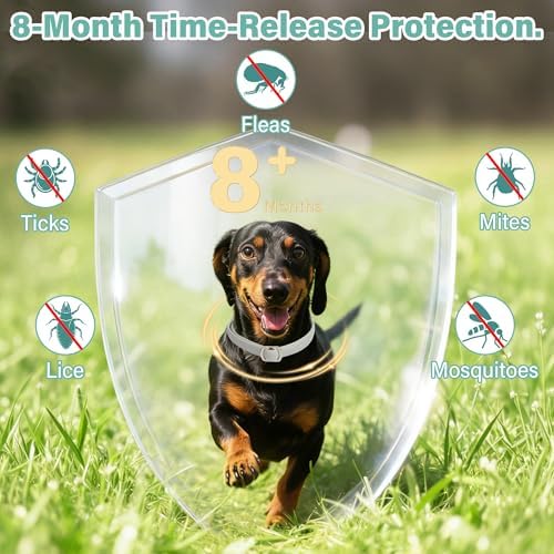 Flea and Tick Collar for Dogs, 6 Pack Natural Flea and Tick Prevention for Dogs in a Waterproof Design with Natural Essential Oils, Adjustable Multi-Pest Repellent Collar for All Dog Sizes