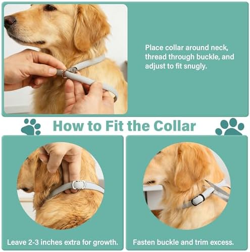 Flea and Tick Collar for Dogs, 6 Pack Natural Flea and Tick Prevention for Dogs in a Waterproof Design with Natural Essential Oils, Adjustable Multi-Pest Repellent Collar for All Dog Sizes