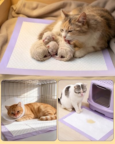 Cat Pee Pads, Fits Breeze Litter Box System, Leak-Resistant Disposable Pee Pad for Cats, 12 x 17.5" Cat Litter Pads, 900g Absorbency, for Litter Box Drawers, 40 Count, Fresh Scent