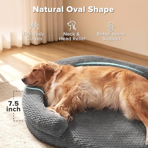 Orthopedic Dog Beds Large Sized Dog, Washable Waterproof Oval Large Dog Bed with Removable Cover, Big Egg-Crate Memory Foam Pet Bed with Bolster Sides & Non-Skid Bottom, Dark Grey, 36''x27''