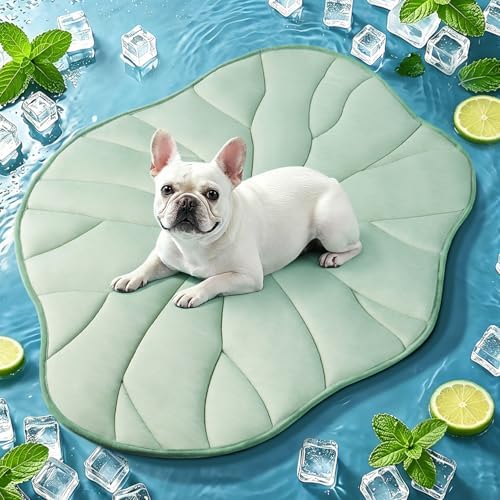 Dog Cooling Mat, 39" x 27" Reversible Q-MAX>0.5 Self Cooling Mat for Small & Medium Dogs, Washable Cooling Pad for Pets 3.0 Summer Cats Cooling Pad for Crate Kennel Outdoor Washable Portable