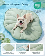 Dog Cooling Mat, 36" x 28" Reversible Q-MAX>0.5 Self Cooling Mat for Small & Medium Dogs, Washable Cooling Pad for Pets 3.0 Summer Cats Cooling Pad for Crate Kennel Sofa Floor Outdoor