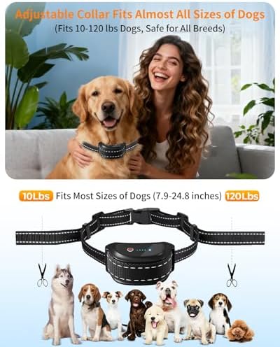 Dog Shock Collar with Remote Control – Shock Collar for Dogs 10–120 lbs, 2000FT Long Range IPX7 Waterproof Rechargeable Dog Training Collar with 4 Safe Modes Beep Vibration Shock & Flashlight Blk