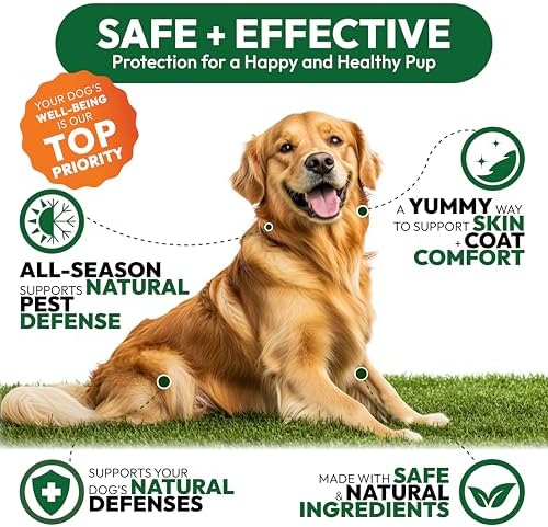 Flea and Tick Prevention for Dogs Pills - Natural Dog Flea & Tick Control - 170 Soft Chewables - Oral Defense Treatment for Dogs Supplement - Vet Formulated Chews - All Breeds & Ages - Made in USA