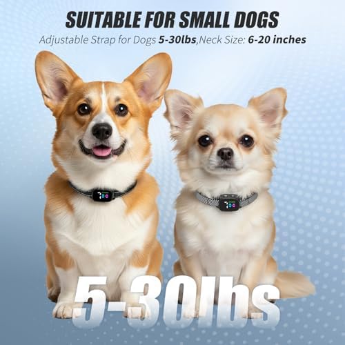 No-Shock Anti-Bark Collar for Small Dogs – Rechargeable (Black)
