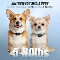 No-Shock Anti-Bark Collar for Small Dogs – Rechargeable (Black)