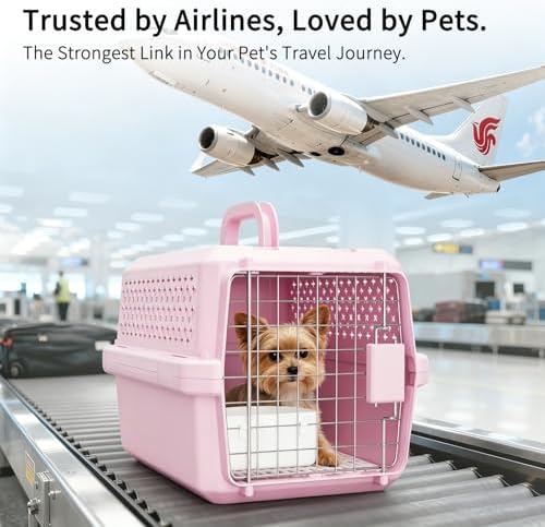Small Hard Sided Pet Carrier, Ventilated Plastic Travel Crate with Metal Door and Top Handle for Small Dogs and Cats, Pink Small, Ideal for Car Travel Vet Visits and Daily Use