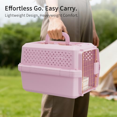 Small Hard Sided Pet Carrier, Ventilated Plastic Travel Crate with Metal Door and Top Handle for Small Dogs and Cats, Pink Small, Ideal for Car Travel Vet Visits and Daily Use