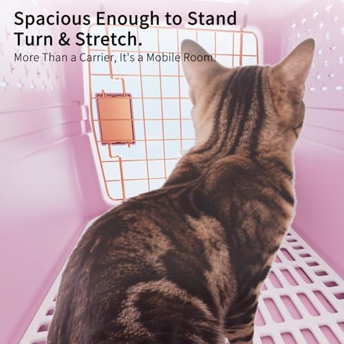 Small Hard Sided Pet Carrier, Ventilated Plastic Travel Crate with Metal Door and Top Handle for Small Dogs and Cats, Pink Small, Ideal for Car Travel Vet Visits and Daily Use