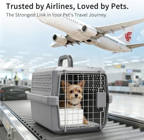 Grey Small Hard Sided Pet Carrier, Portable Ventilated Travel Crate with Metal Door and Handle for Small Dogs and Cats, Perfect for Car Rides, Vet Visits and Daily Use