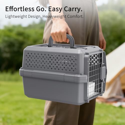 Grey Small Hard Sided Pet Carrier, Portable Ventilated Travel Crate with Metal Door and Handle for Small Dogs and Cats, Perfect for Car Rides, Vet Visits and Daily Use