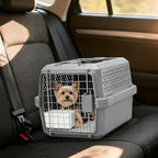 Grey Small Hard Sided Pet Carrier, Portable Ventilated Travel Crate with Metal Door and Handle for Small Dogs and Cats, Perfect for Car Rides, Vet Visits and Daily Use