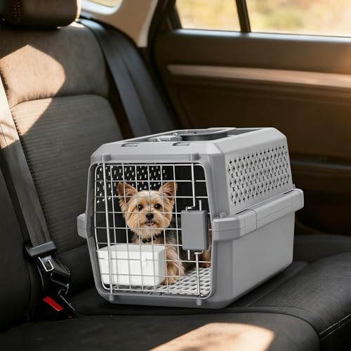 Grey Small Hard Sided Pet Carrier, Portable Ventilated Travel Crate with Metal Door and Handle for Small Dogs and Cats, Perfect for Car Rides, Vet Visits and Daily Use