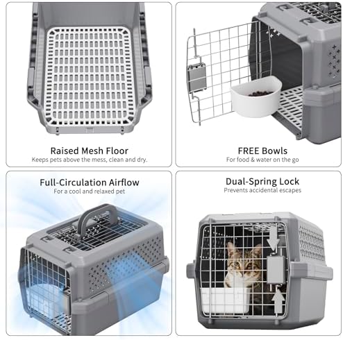 Grey Small Hard Sided Pet Carrier, Portable Ventilated Travel Crate with Metal Door and Handle for Small Dogs and Cats, Perfect for Car Rides, Vet Visits and Daily Use