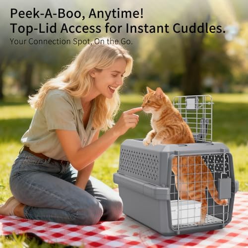 Grey Small Hard Sided Pet Carrier, Portable Ventilated Travel Crate with Metal Door and Handle for Small Dogs and Cats, Perfect for Car Rides, Vet Visits and Daily Use