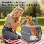 Grey Small Hard Sided Pet Carrier, Portable Ventilated Travel Crate with Metal Door and Handle for Small Dogs and Cats, Perfect for Car Rides, Vet Visits and Daily Use