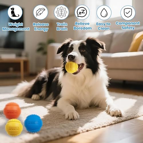 3 Pack Dog Balls, Bite Resistant Elastic Balls for Dogs, Durable Rubber,Interactive Training Ball Dog Toy for 20-60 lbs,2.5-inch Diameter