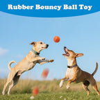 3 Pack Dog Balls, Bite Resistant Elastic Balls for Dogs, Durable Rubber,Interactive Training Ball Dog Toy for 20-60 lbs,2.5-inch Diameter