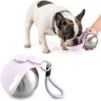 2 in 1 Portable Dog Water Bottle with Bowl, 10 oz Stainless Steel No-Spill Travel Pet Water Dispenser with Collapsible Silicone Bowl for Small Dog & Puppy Walking Hiking Outdoor