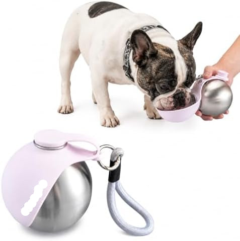 2 in 1 Portable Dog Water Bottle with Bowl, 10 oz Stainless Steel No-Spill Travel Pet Water Dispenser with Collapsible Silicone Bowl for Small Dog & Puppy Walking Hiking Outdoor