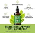 Slippery Elm for Dogs and Cats - Soothing Digestive Relief and Gut Support - Stomach Comfort and Throat Support - Herbal Drops for Pets - Easy to Use - Bacon Flavored - 2 fl oz