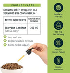 Slippery Elm for Dogs and Cats - Soothing Digestive Relief and Gut Support - Stomach Comfort and Throat Support - Herbal Drops for Pets - Easy to Use - Bacon Flavored - 2 fl oz