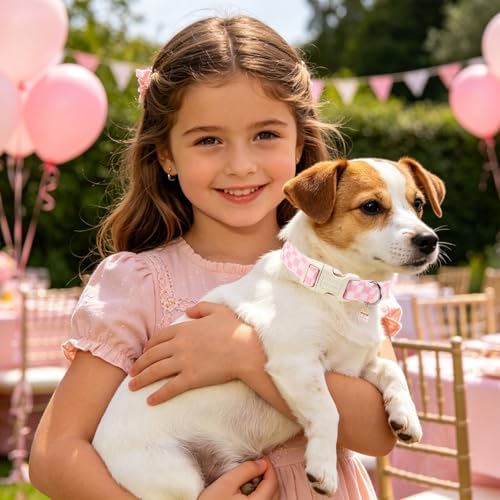 Girl Dog Collar for Medium Dogs, Pink Checked Dog Collars, Pink Checked Dogs Collars for Small Medium Dogs, Neck 14-21 inches