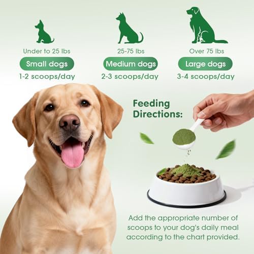 Dog Dental Powder, Dog Teeth Cleaning & Dental Powder for Cats, Natural Herbal Oral Care, Reduces Tartar, Plaque and Bad Breath, No Brush Needed, Pet Food Additive for Dog & Cat Oral Health (2.75oz)