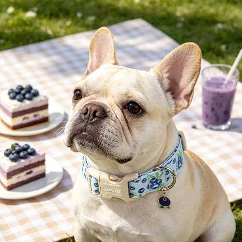 PET Blueberry Dog Collar, Cute Spring Summer Blue Doggy Collars for Puppy Small Medium Large Boy Girl Dogs, for Daily Photos Beach Walking Hiking Picnic-M