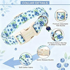 PET Blueberry Dog Collar, Cute Spring Summer Blue Doggy Collars for Puppy Small Medium Large Boy Girl Dogs, for Daily Photos Beach Walking Hiking Picnic-M