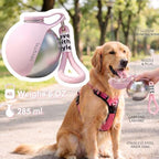 Dog Water Bottle, 10oz Stainless Steel Portable Dog Water Bottle with Foldable Silicone Bowl, 2-in-1 Portable Dog Water Bowl for Water & Food, Water Dispenser for Dogs Walking (Blue)