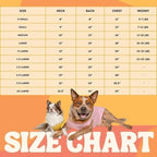 Pet Jersey Dog Soccer Jersey, Breathable Clothes Stretchable Shirt for Puupy or Cat. (Mexico, Medium)