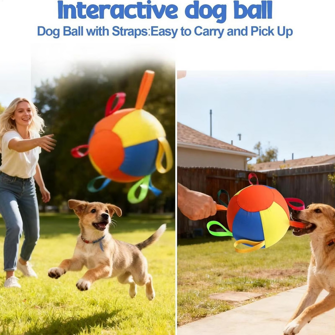 Inflatable Herding Ball for Dogs – Tear-Resistant, with Pump