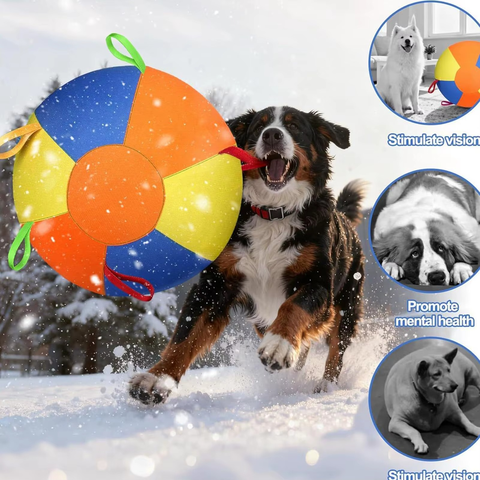 Inflatable Herding Ball for Dogs – Tear-Resistant, with Pump