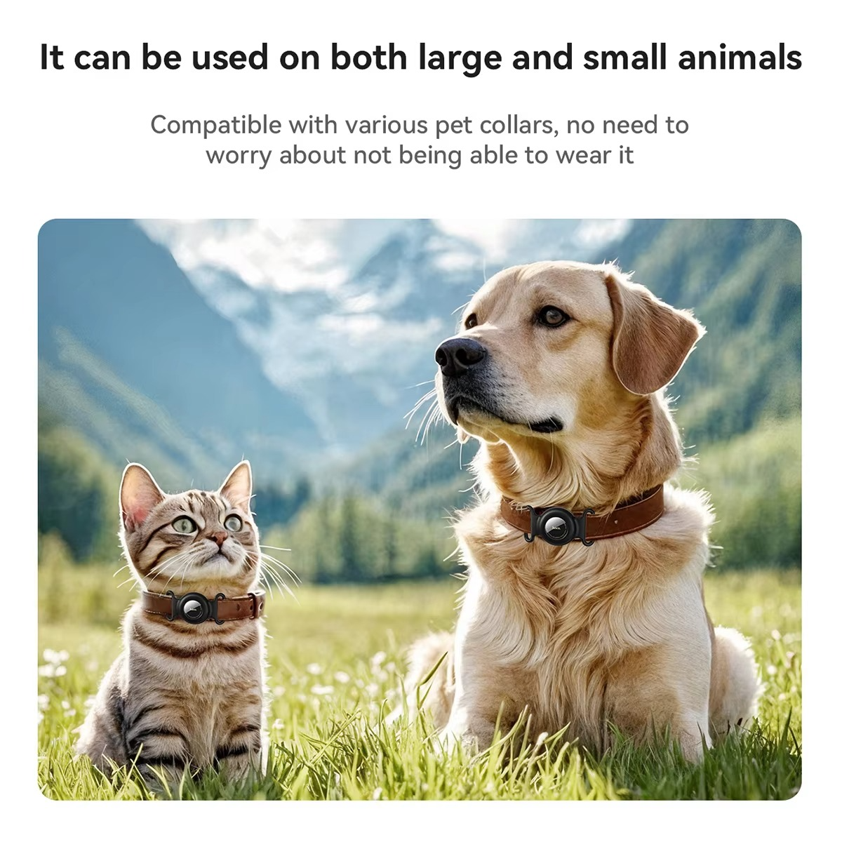 Pet Tracker for Apple Find My – No Monthly Fee (Dogs & Cats)