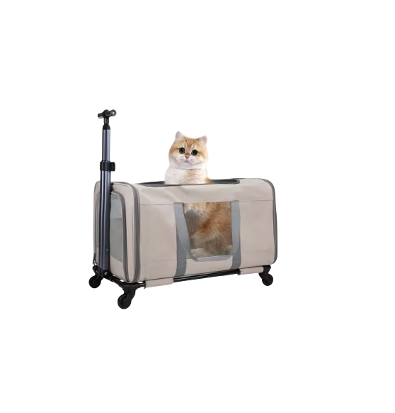 Cat Trolley Carrier for 2 Cats, Large Pet Transport Box with Wheels, Rolling Cat Carrier with Safety Belts, Foldable Travel Bag for Cats & Small Dogs, Airline-Friendly Design