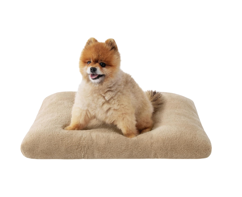 Small Dog Bed for Crate Washable, Comfort Fluffy Plush Pillow Bed Crate Pad, Non-Slip and Machine Washable Kennel Pet Sleeping Mat for Puppy/Cat,, Brown Visit the Bedsure Store