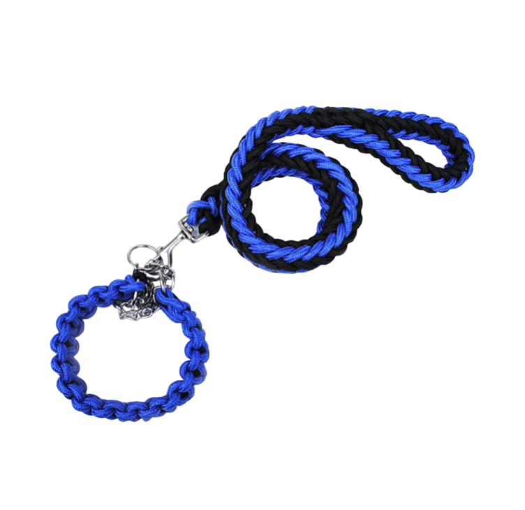 Dog Collar and Leash Set, Heavy Duty Nylon Braided Rope Strong 4 FT Dog Leash and Martingale Training Collar for Small Medium Large Dogs Training and Walking (Blue & Black)