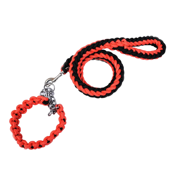Dog Collar and Leash Set, Heavy Duty Nylon Braided Rope Strong 4 FT Dog Leash and Martingale Training Collar for Small Medium Large Dogs Training and Walking (Red & Black)